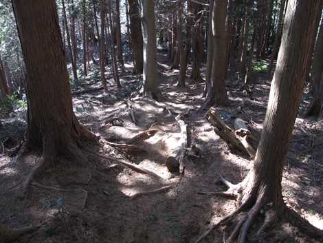20170126hike (359)
